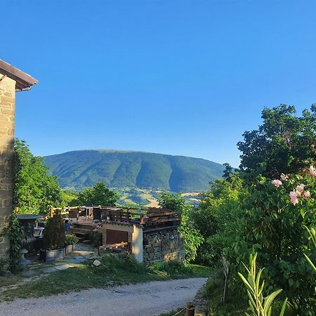 Le Ginestre Guesthouse Ασίζη Εξωτερικό φωτογραφία