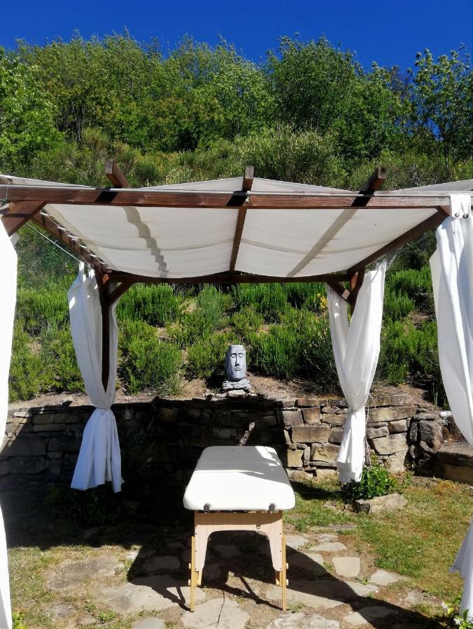 Le Ginestre Guesthouse Ασίζη Εξωτερικό φωτογραφία