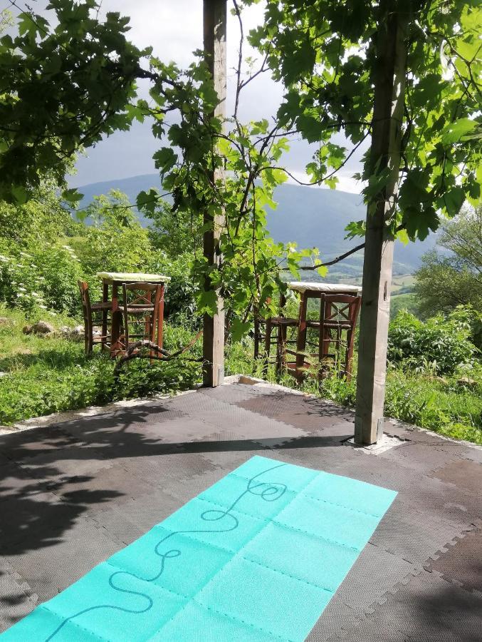 Le Ginestre Guesthouse Ασίζη Εξωτερικό φωτογραφία