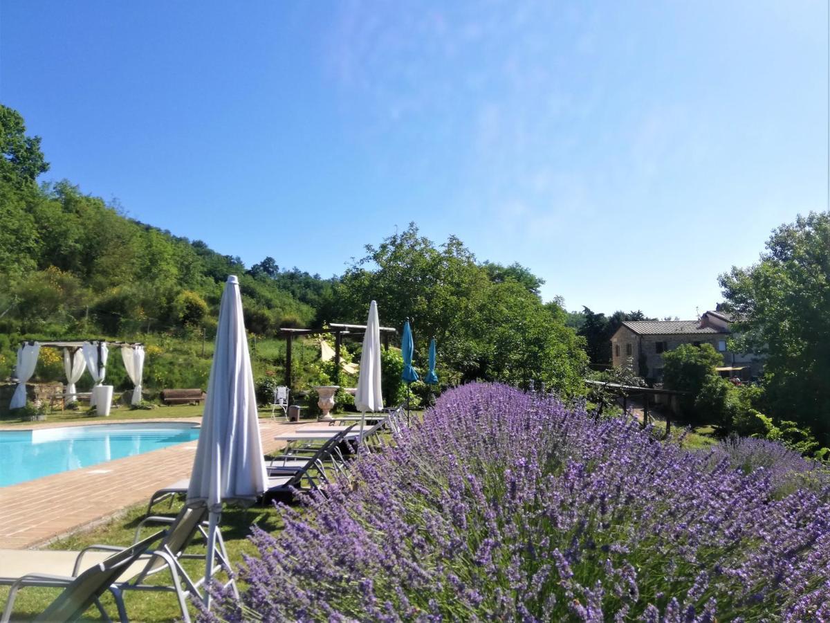 Le Ginestre Guesthouse Ασίζη Εξωτερικό φωτογραφία