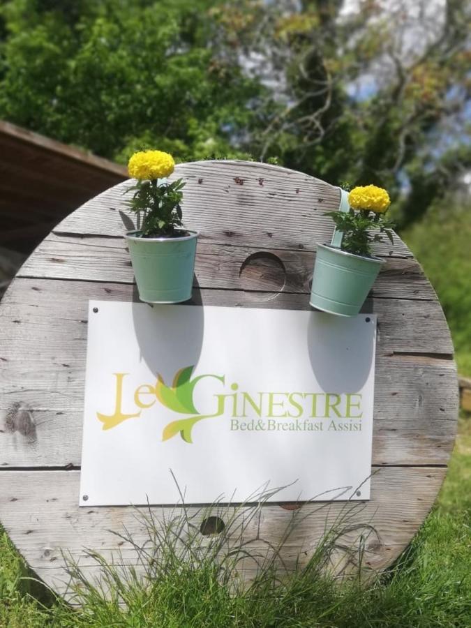 Le Ginestre Guesthouse Ασίζη Εξωτερικό φωτογραφία