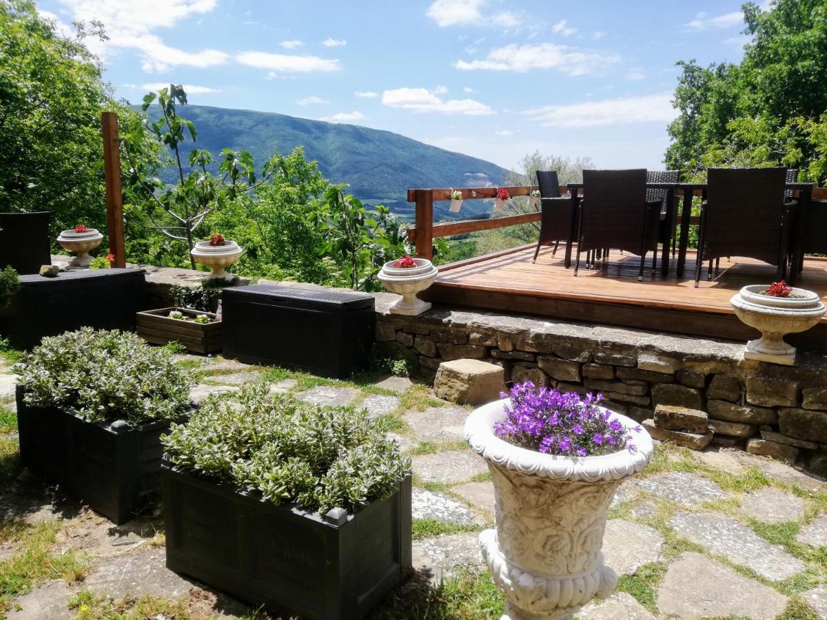 Le Ginestre Guesthouse Ασίζη Εξωτερικό φωτογραφία