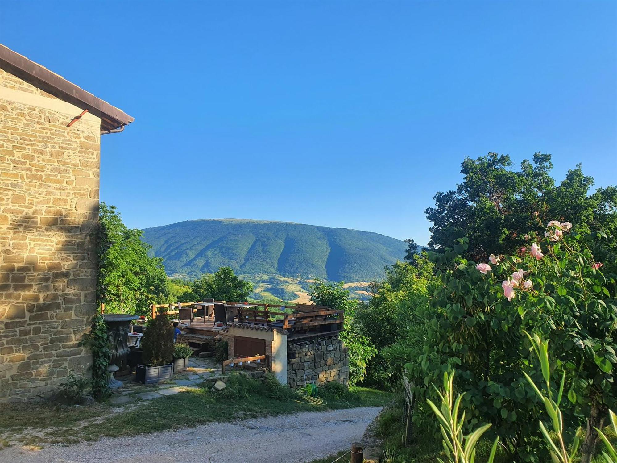 Le Ginestre Guesthouse Ασίζη Εξωτερικό φωτογραφία