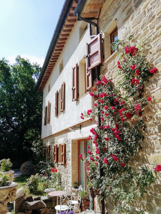 Le Ginestre Guesthouse Ασίζη Εξωτερικό φωτογραφία